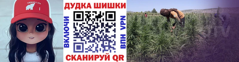 Названия наркотиков Каменногорск Конопля КОКАИН ГАШИШ Меф