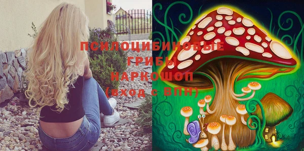 индика Аркадак