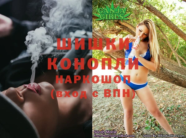 индика Аркадак