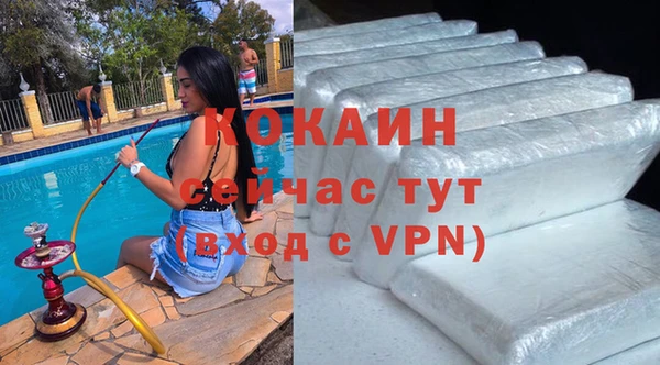 индика Аркадак