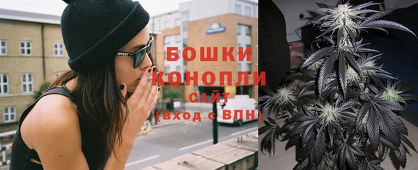 индика Аркадак