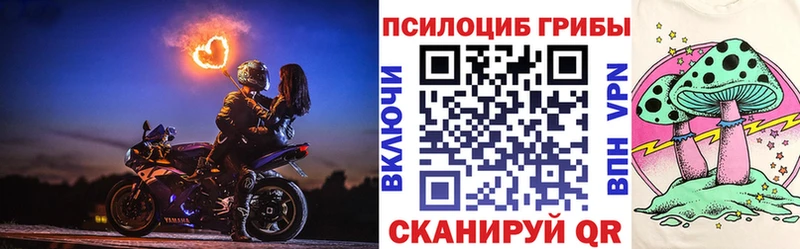 Псилоцибиновые грибы Cubensis  Каменногорск 